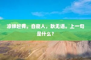 凉蝉起舞。自窥人，耿无语。上一句是什么？