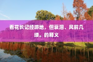 看花长记经游地，但衰泪、风前几缕。的释义