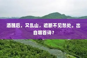 酒醒后，又乱山，遮断不见愁处。出自哪首诗？
