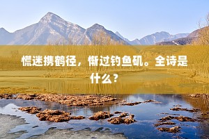 慌迷携鹤径，惭过钓鱼矶。全诗是什么？