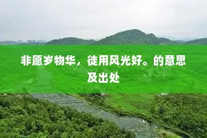 非愿岁物华，徒用风光好。的意思及出处