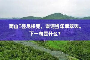 两山脩径尽榛芜，谩诧当年幸翠舆。下一句是什么？
