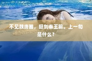 不见魏唐睢，挺剑秦王前。上一句是什么？