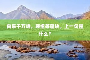向来千万峰，琐细等蓬块。上一句是什么？