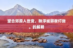 望合郊原人世变，映浮城郭夜灯微。的解释