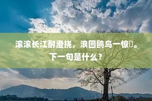 滚滚长江耐澄挠，浪回鸥鸟一惊翚。下一句是什么？