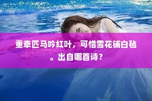 重牵匹马吟红叶，可惜雪花铺白毡。出自哪首诗？