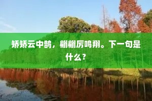 矫矫云中鹄，翩翩厉鸣翔。下一句是什么？