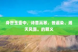 身世玉壶中，诗意高寒，曾遍染、湘天风露。的释义