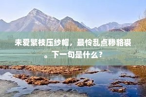 未爱繁枝压纱帽，最怜乱点糁貉裘。下一句是什么？