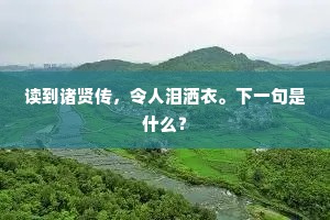 读到诸贤传，令人泪洒衣。下一句是什么？