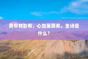 勇似韩彭有，心如廉蔺希。全诗是什么？