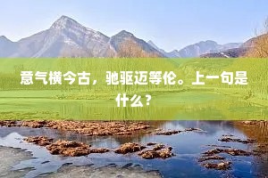 意气横今古，驰驱迈等伦。上一句是什么？