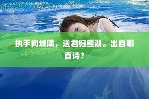 执手向城隅，送君归鲤湖。出自哪首诗？