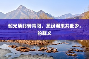 韶光庾岭转青阳，忽讶君来共此乡。的释义