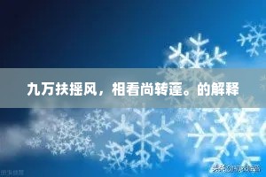 九万扶摇风，相看尚转蓬。的解释