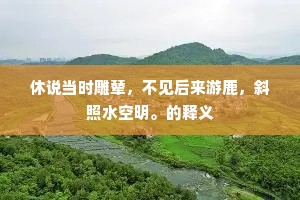 休说当时雕辇，不见后来游鹿，斜照水空明。的释义