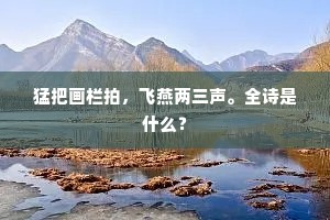 猛把画栏拍，飞燕两三声。全诗是什么？