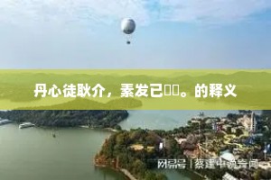 丹心徒耿介，素发已毰毸。的释义