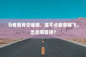 马惟画骨空嗟瘦，龙不点睛那解飞。出自哪首诗？