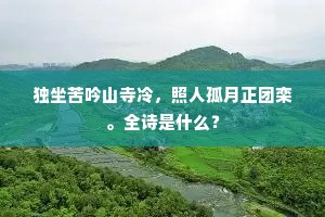 独坐苦吟山寺冷，照人孤月正团栾。全诗是什么？