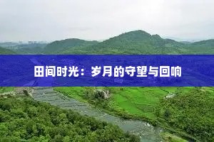 田间时光：岁月的守望与回响