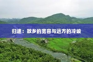 归途：故乡的宽容与远方的冷峻