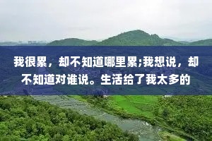 我很累，却不知道哪里累;我想说，却不知道对谁说。生活给了我太多的心酸和无奈。抽着比父亲更贵的烟，却撑不起他们撑起的那一片天。