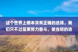这个世界上根本没有正确的选择，我们只不过是要努力奋斗，使当初的选择变得正确。
