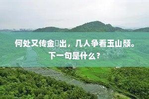 何处又传金椀出，几人争看玉山颓。下一句是什么？