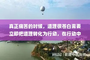 真正痛苦的时候，道理很苍白需要立即把道理转化为行动，在行动中才能度过最艰难的时光。仅仅想是没有用的，只会带来更多的焦虑。