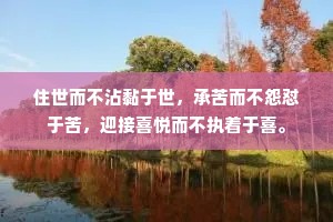 住世而不沾黏于世，承苦而不怨怼于苦，迎接喜悦而不执着于喜。