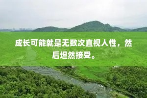 成长可能就是无数次直视人性，然后坦然接受。
