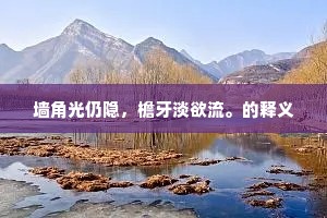 墙角光仍隐，檐牙淡欲流。的释义