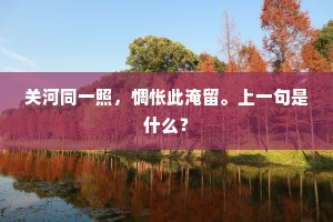 关河同一照，惆怅此淹留。上一句是什么？