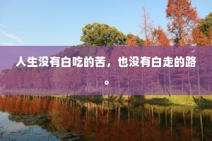 人生没有白吃的苦，也没有白走的路。