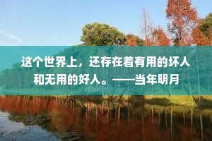 这个世界上，还存在着有用的坏人和无用的好人。——当年明月