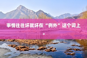 事情往往坏就坏在“例外”这个词上。