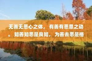 无善无恶心之体， 有善有恶意之动。 知善知恶是良知， 为善去恶是格物。 --王阳明