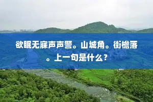 欲眠无寐声声警。山城角。街檐落。上一句是什么？