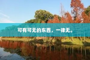 可有可无的东西，一律无。