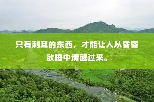 只有刺耳的东西，才能让人从昏昏欲睡中清醒过来。
