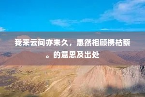 我来云间亦未久，惠然相顾携枯藜。的意思及出处