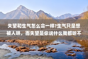失望和生气怎么会一样?生气只是想被人哄，而失望是你说什么我都听不进去。