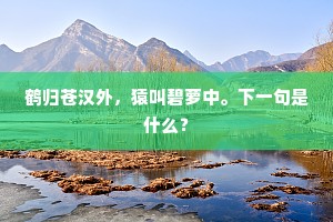 鹤归苍汉外，猿叫碧萝中。下一句是什么？
