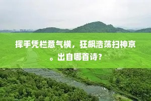 挥手凭栏意气横，狂飙浩荡扫神京。出自哪首诗？
