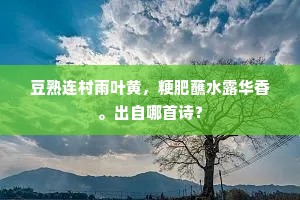豆熟连村雨叶黄，粳肥蘸水露华香。出自哪首诗？