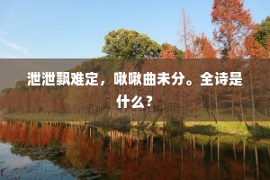 泄泄飘难定，啾啾曲未分。全诗是什么？