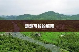 楚楚可怜的解释