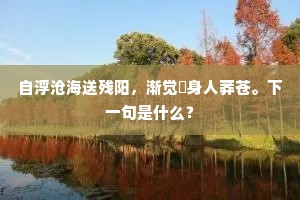 自浮沧海送残阳，渐觉閒身人莽苍。下一句是什么？